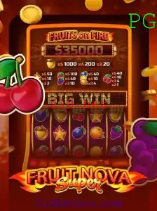 Explorando o Universo de FruitNovaSuper: Inovações e Regras